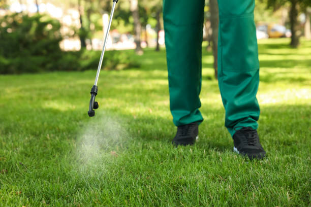 Best Mosquito Control Services  in East Brewton, AL