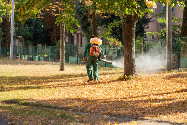 Best Best Pest Control Companies  in East Brewton, AL